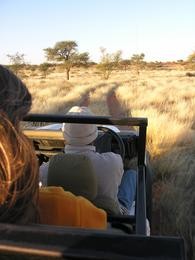 Sundowner Fahrt durch die Kalahri