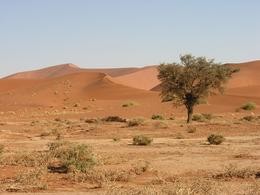 Namib Wste